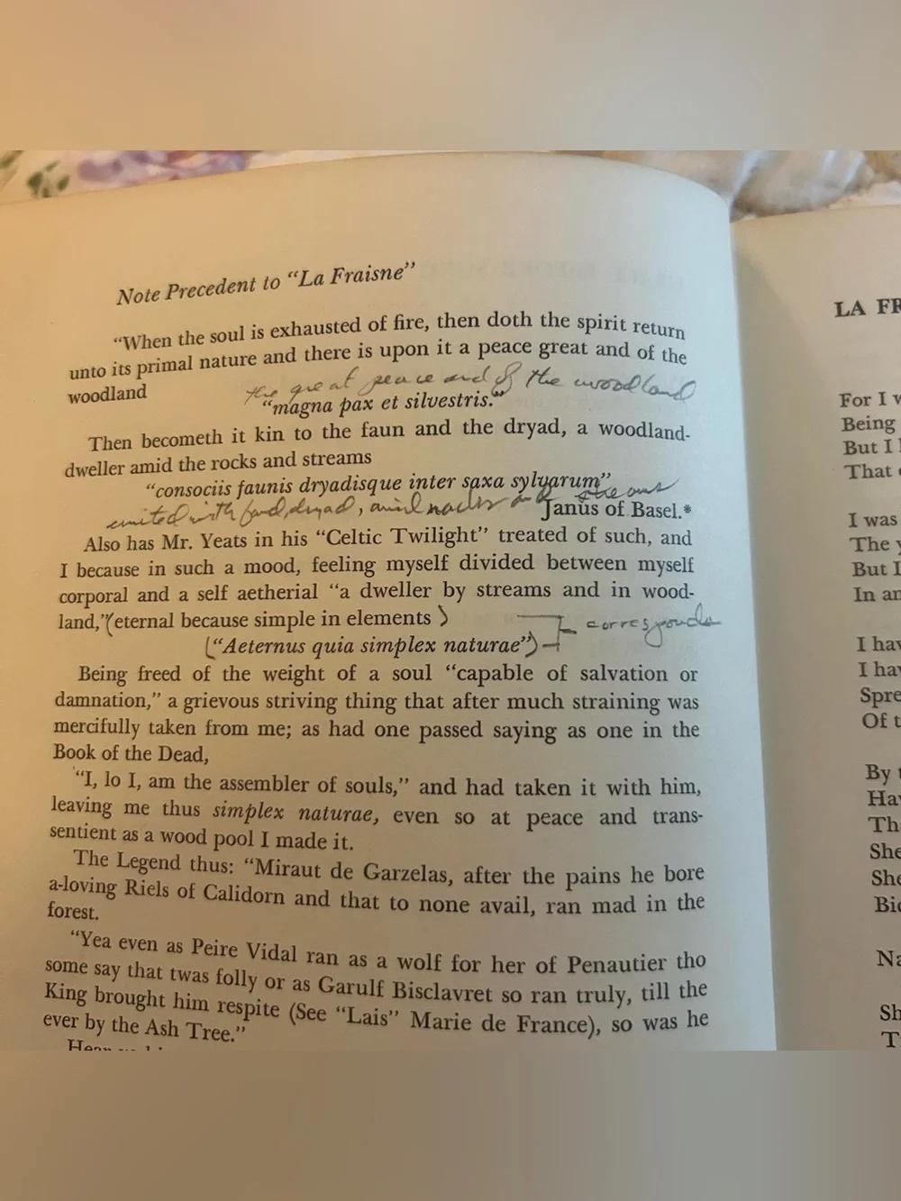 Collected Early Poems of Ezra Pound 1976